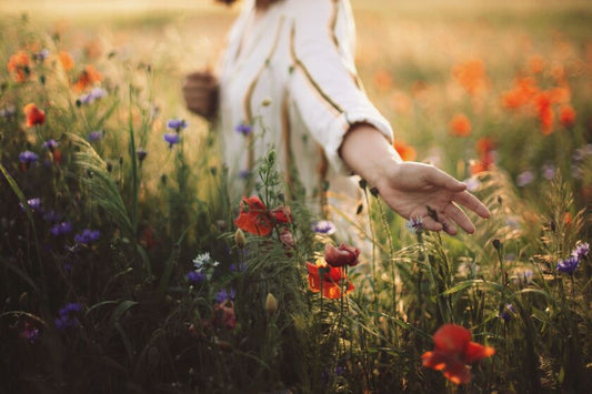 Healing is beautiful …