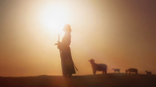 Finding Peace in Troubled Times