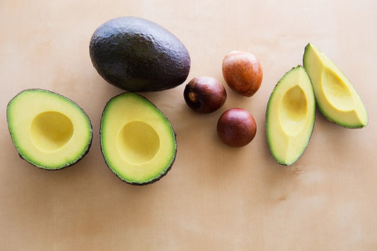 The avocado seed…