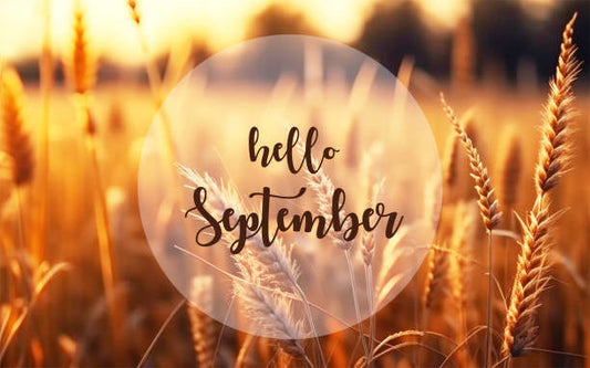 Embracing Change: Walking with God Through the Seasons