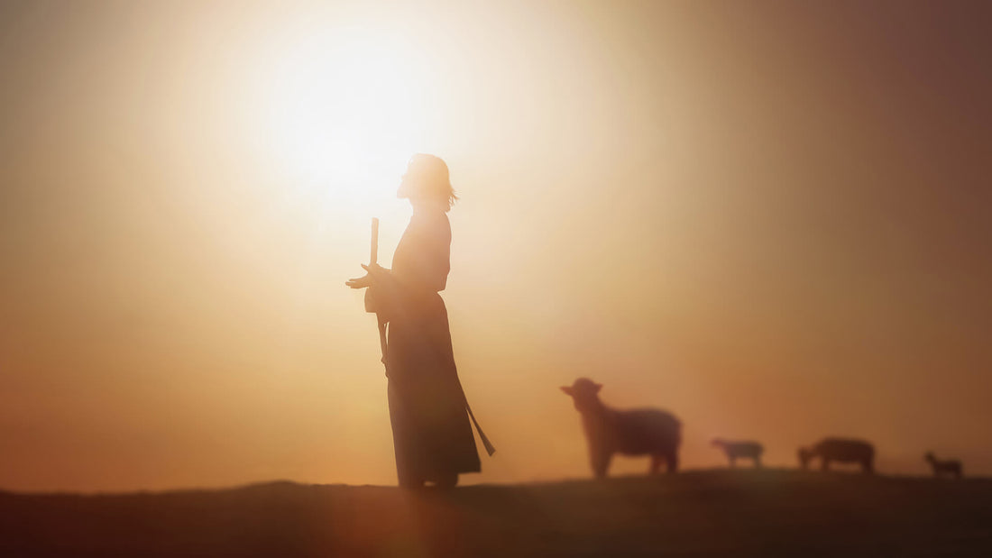 Finding Peace in Troubled Times